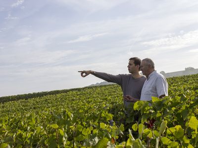 Jean-Marie und Damien Goulard. Foto: Champagne J.M. Goulard