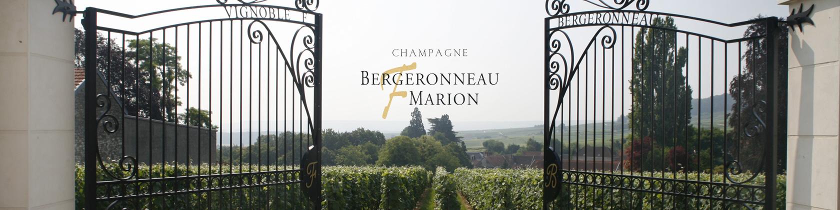 Champagne Bergeronneau Clos