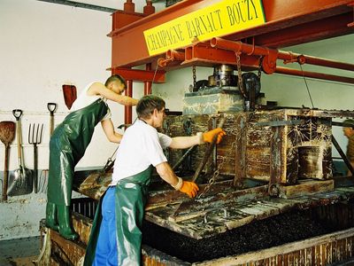 Champagne Barnaut Traubenpresse traditionell