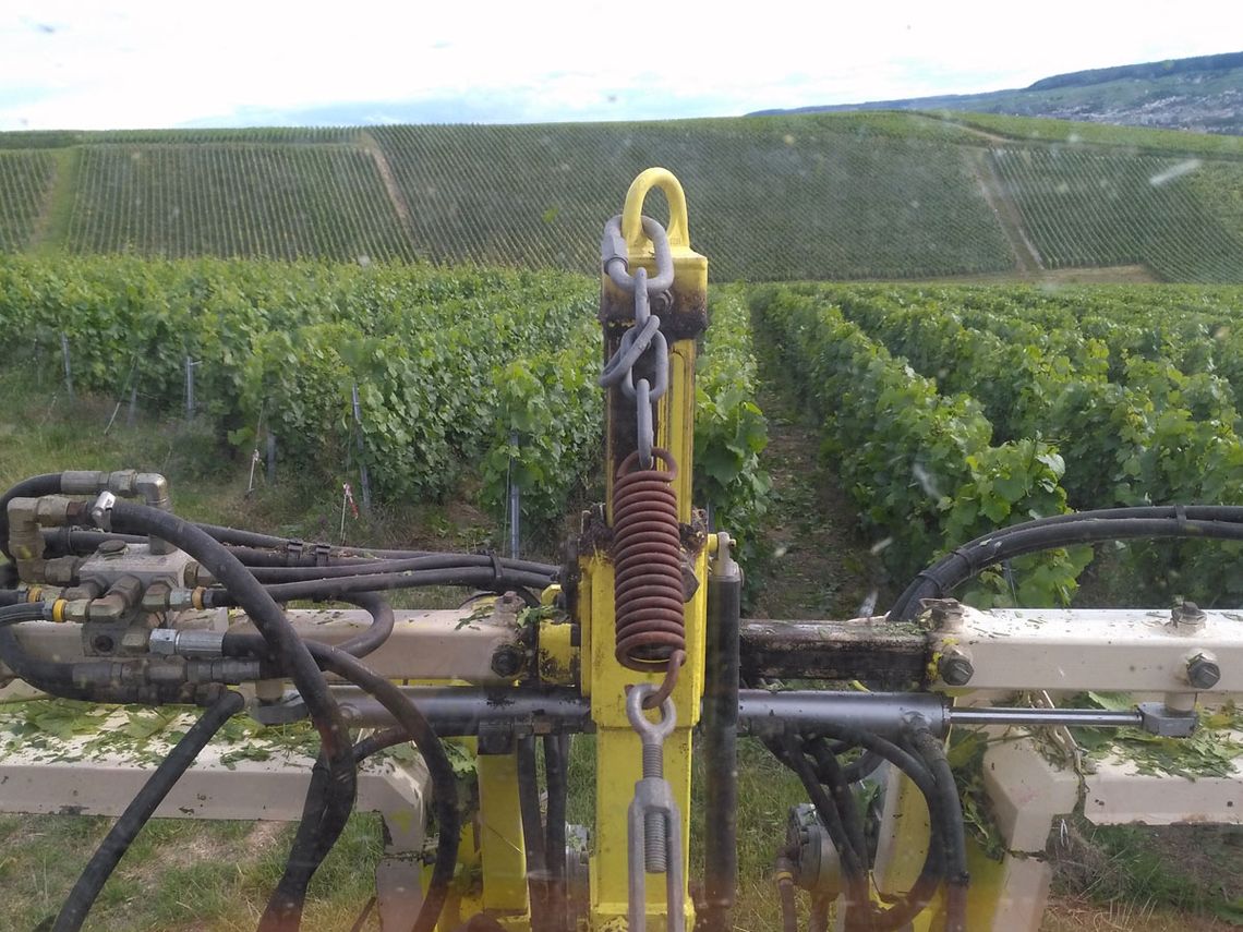 Champagne G. Brunot - Blick aus der Kabine des Weinbergschleppers. Foto: Champagne G. Brunot