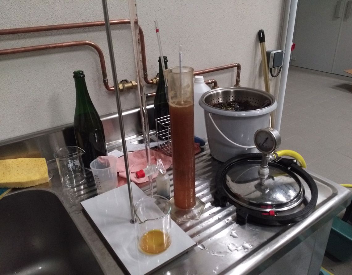 Champagne Guy Brunot - Analyse des Reifegrades der Trauben. Foto: Champagne Guy Brunot