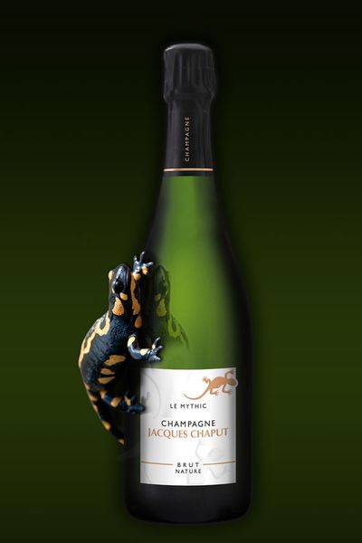 Champagne Jacques Chaput Werbung