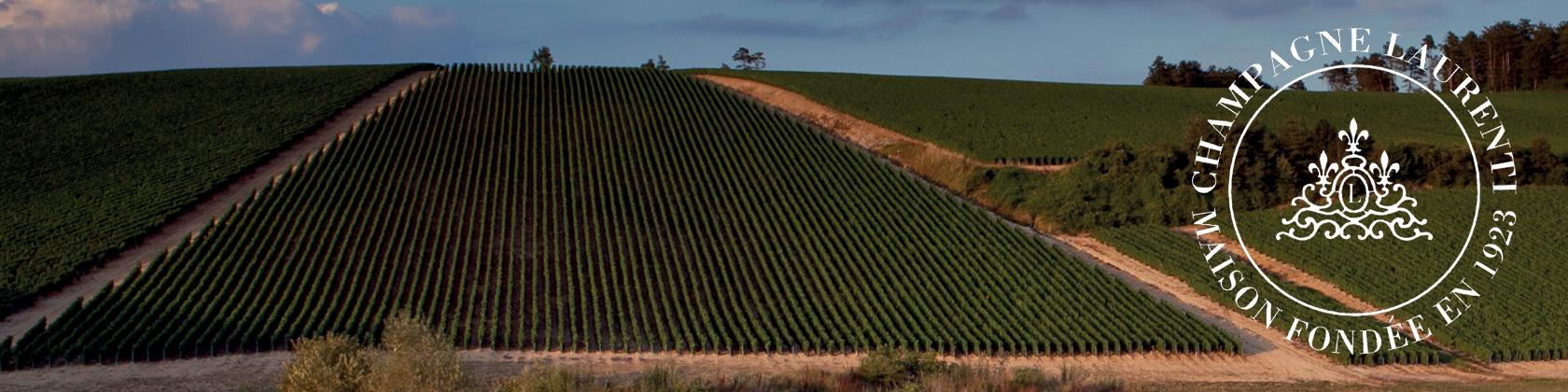 Champagne Laurenti Weinberge. Foto: Champagne Laurenti