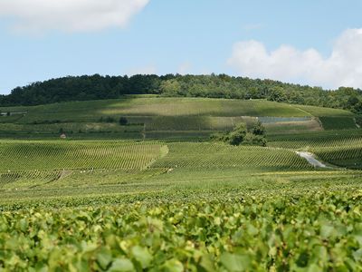 Champagne J. De Telmont: Weinberge