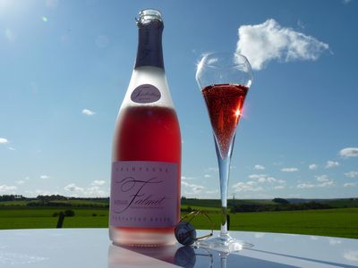 Champagne Nathalie Falmet Tentation Rosé Brut