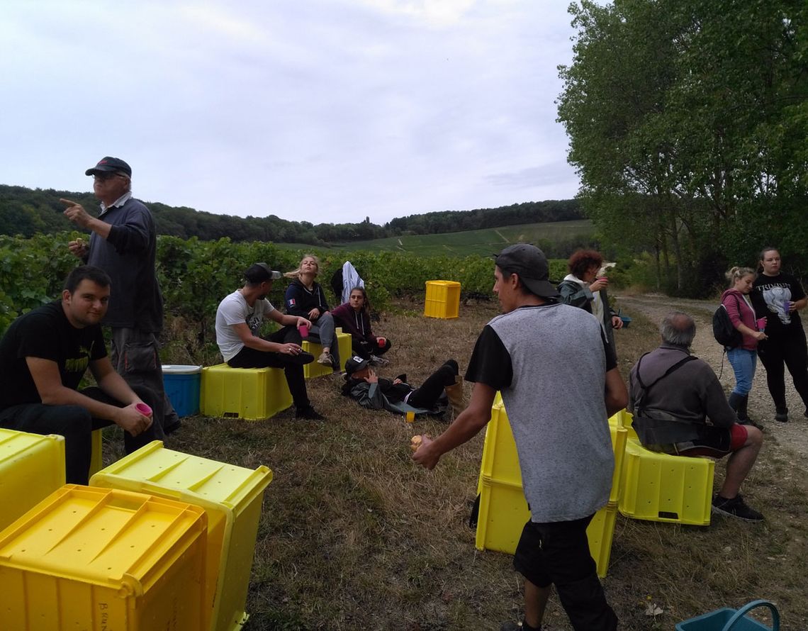 Champagne Guy Brunot - Casse Croute, die Pause am Vormittag. Foto: Champagne Guy Brunot