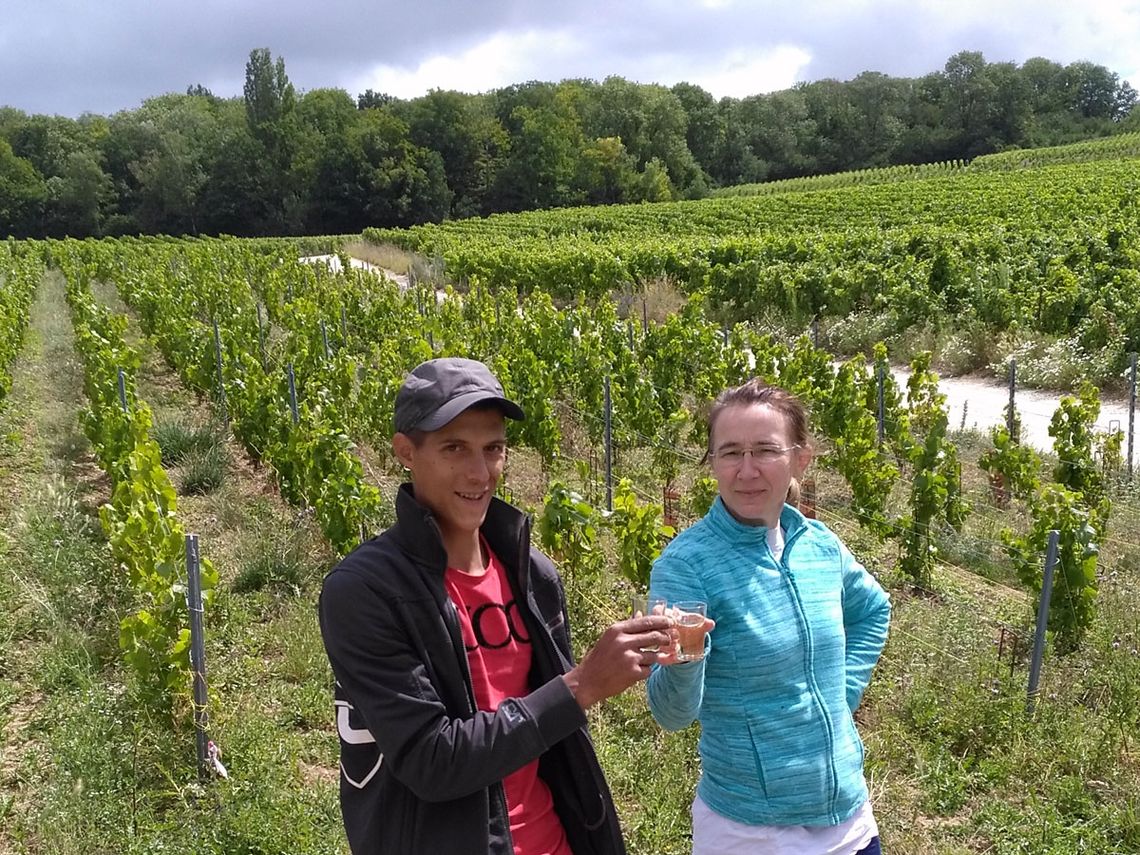 Champagne Guy Brunot - Gemeinsames Anstoßen auf das Ende der Pallisage. Foto: Champagne Guy Brunot