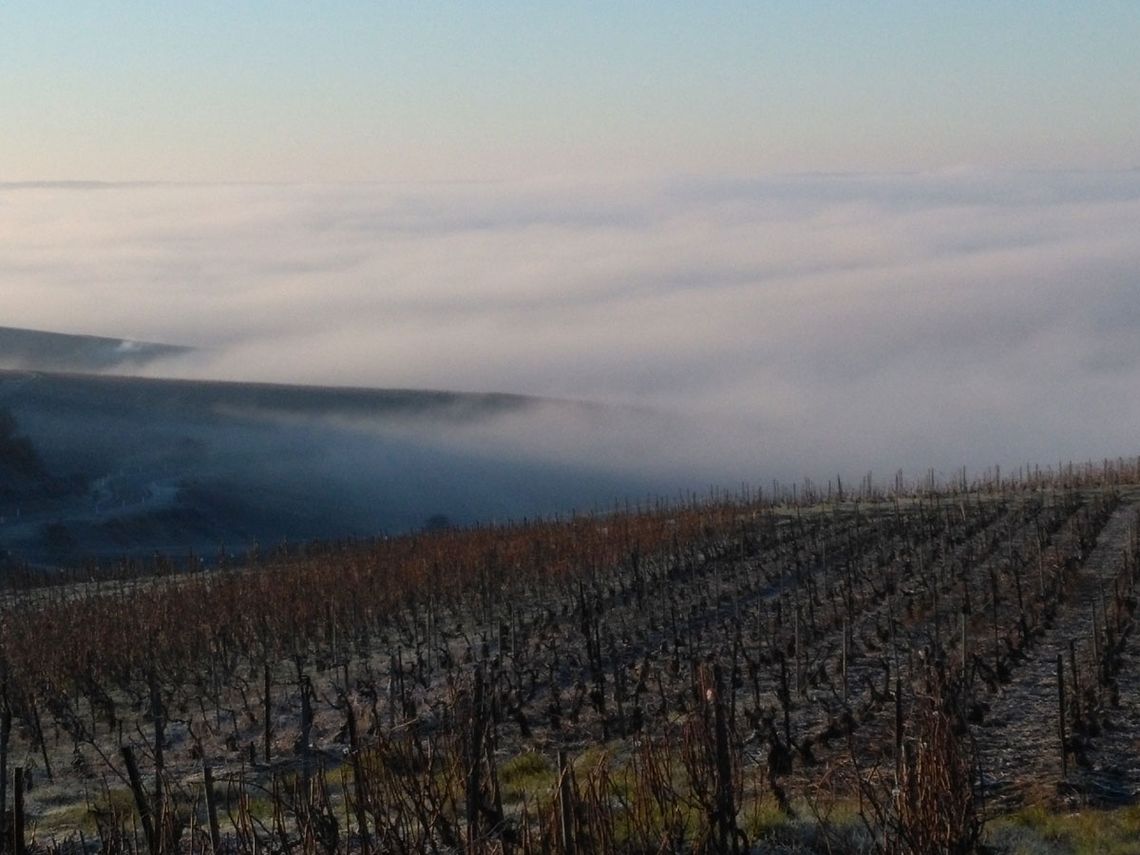 Champagne G. Brunot Blick aufs Marnetal. Foto: Champagne G. Brunot