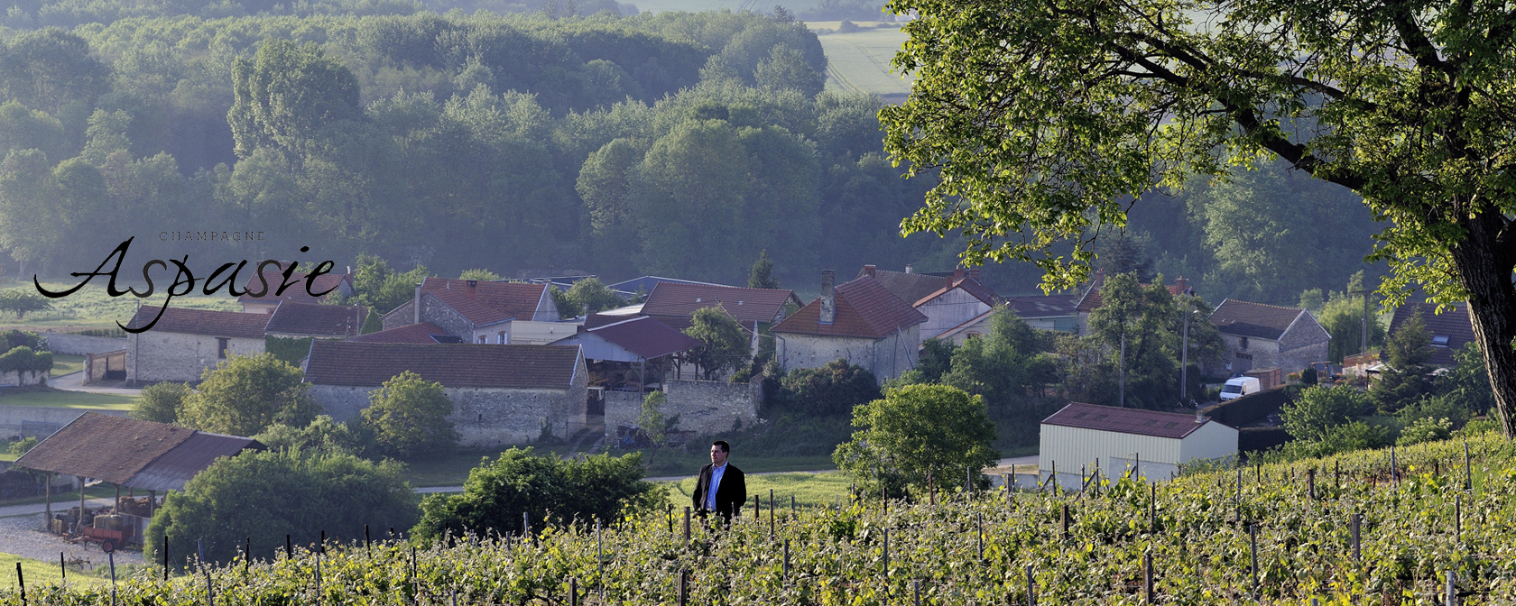 Champagne Aspasie Heimat