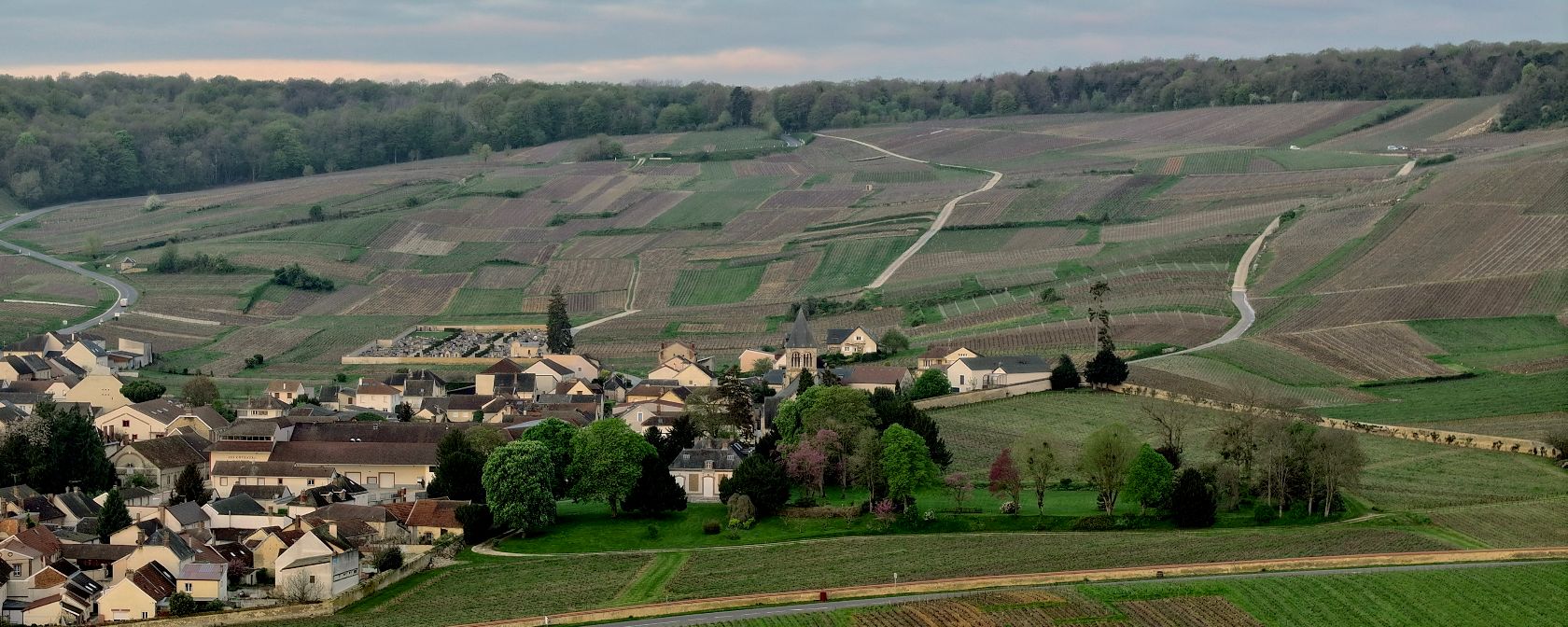 Champagne Franck Bonville Ort Oger. Copyright: Champagne Franck Bonville