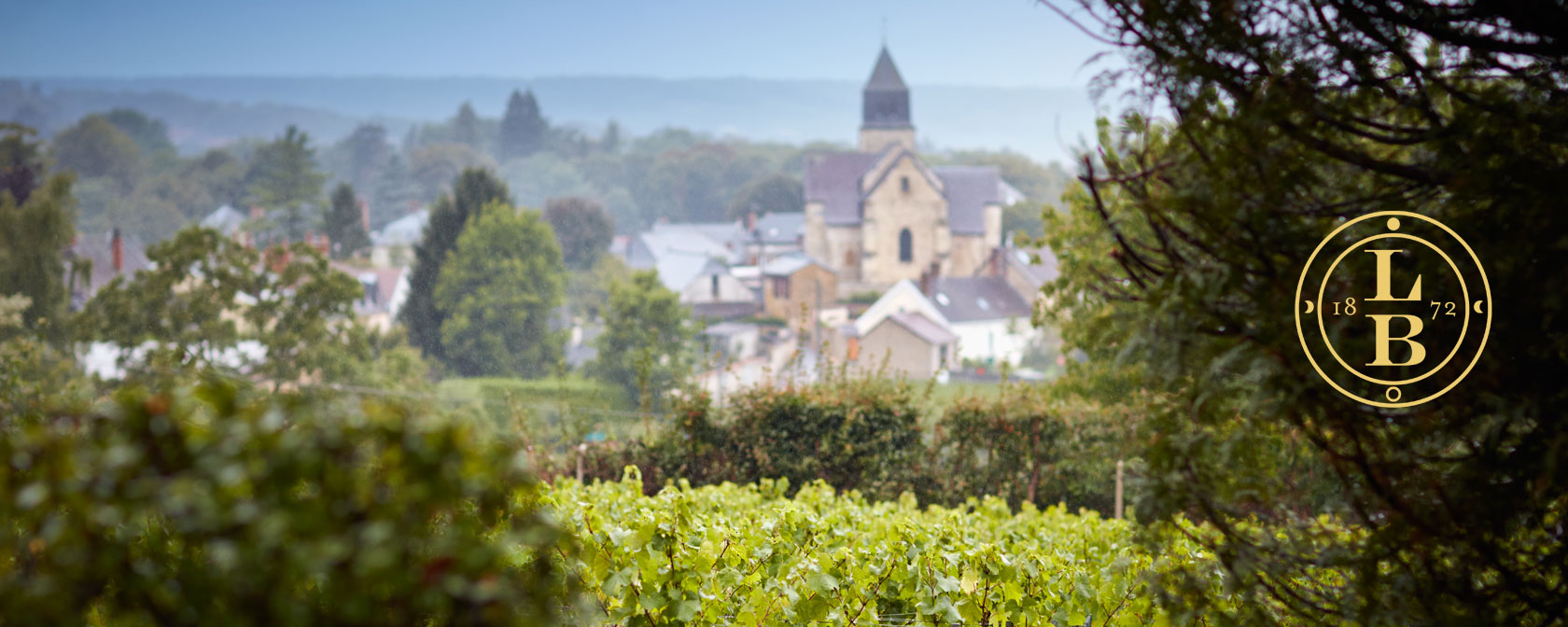 Champagne Leclerc Briant Weinberge