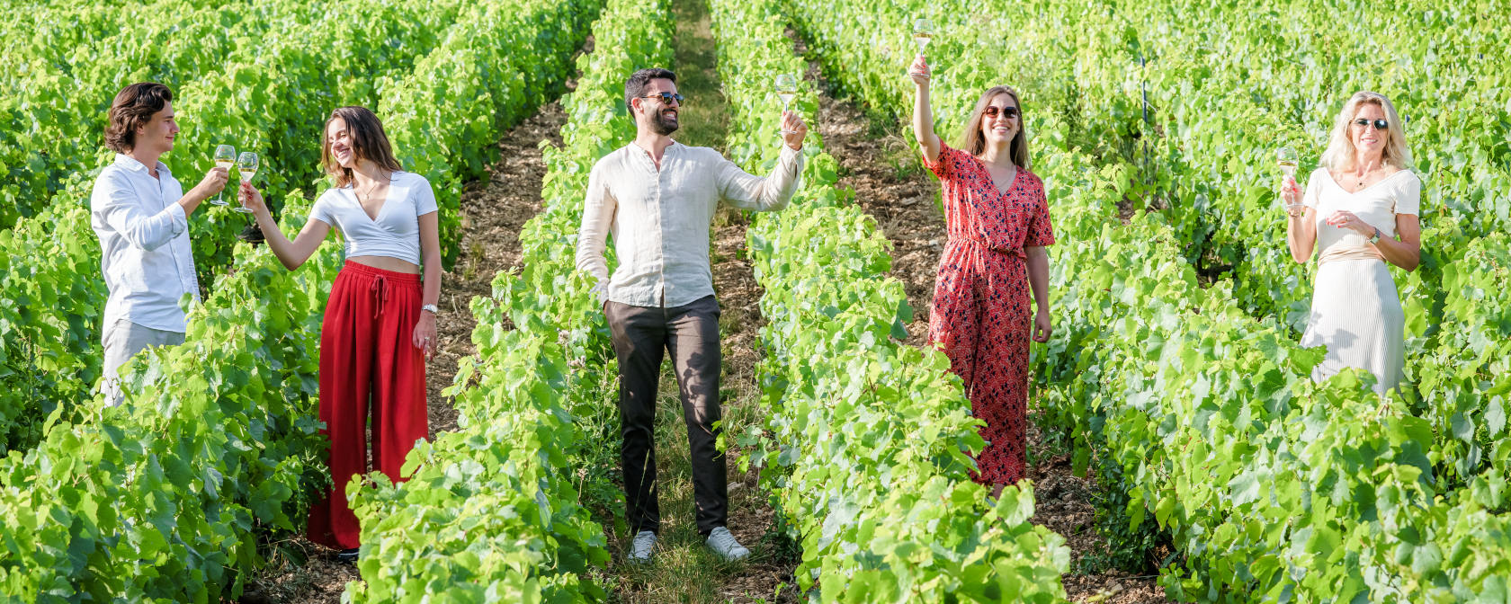 Champagne Montaudon Weinberg in Reims. Foto: Champagne Montaudon