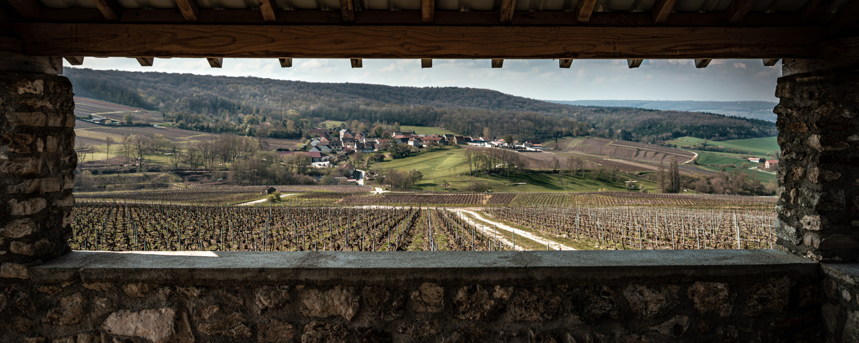 Champagne Tribaut Schloesser Weinberg in Romery. Foto: Champagne Tribaut Schloesser